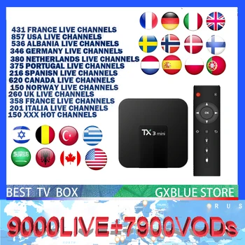 

TX3 mini Android 8.1 IPTV BOX GXBLUE IPTV 9000 Channels Portugal Dutch France Arabic Spain 1Year IPTV Subscription TV Box