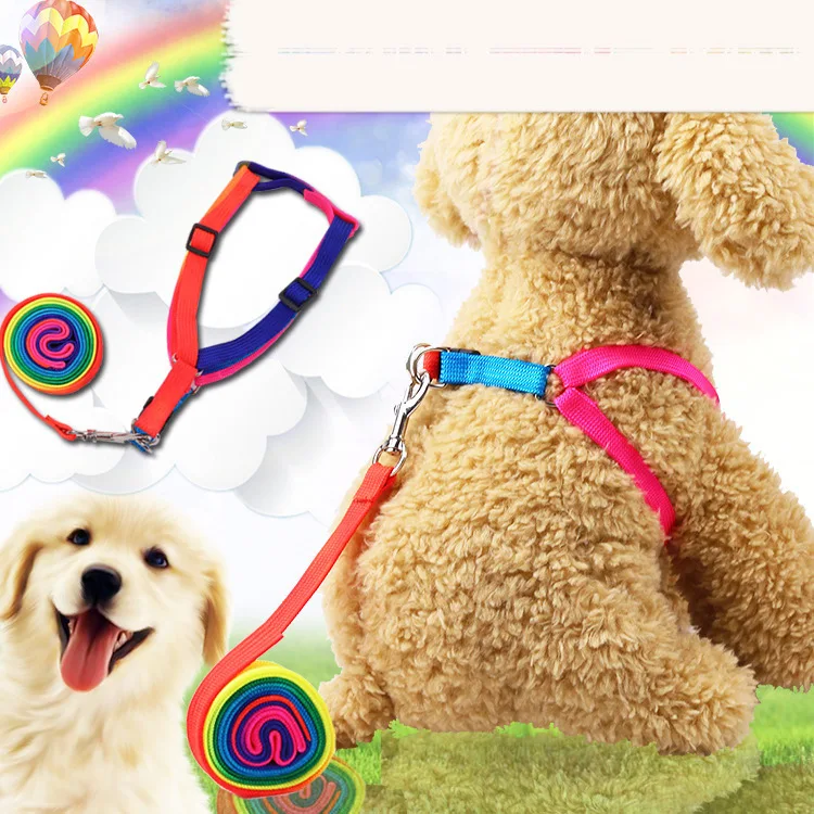 Colorful Small Dog Harness Leash Suit Arnes Perro Pequeño Pearl Cute