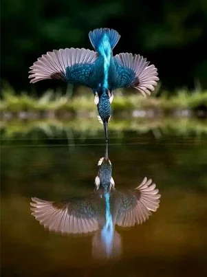 QQ截图20200529110410