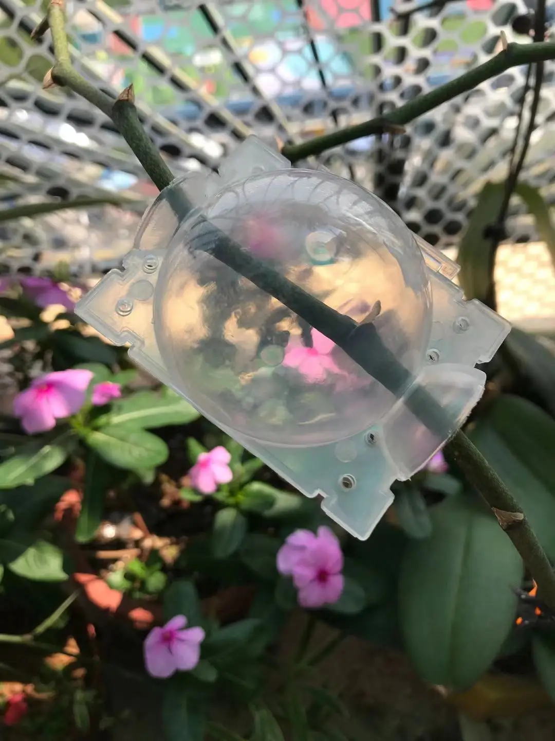 20Pcs Cutting Grafting Rooting Ball Reusable Plant Rooting Ball Sapling Propagation Breeding Box Garden Plant Root Growing Box 5