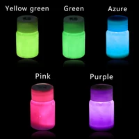 5 Colors/Set Luminous Paint Glow in the Dark Phosphor Paint Shining for Party Nail Decoration Creative Art Crafts Supplies 1