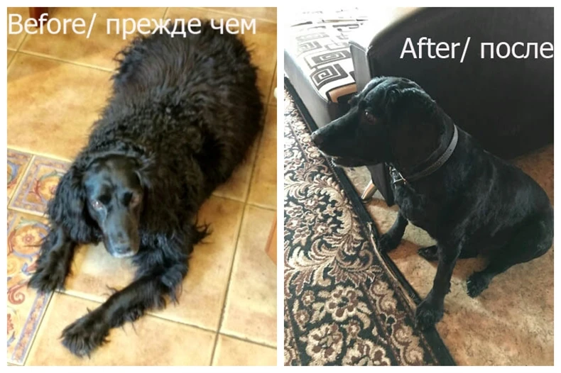 Профессиональная машинка для стрижки собак, машинка для стрижки животных, машинка для стрижки кошек, электробритва, машинка для стрижки, 110-240 В переменного тока