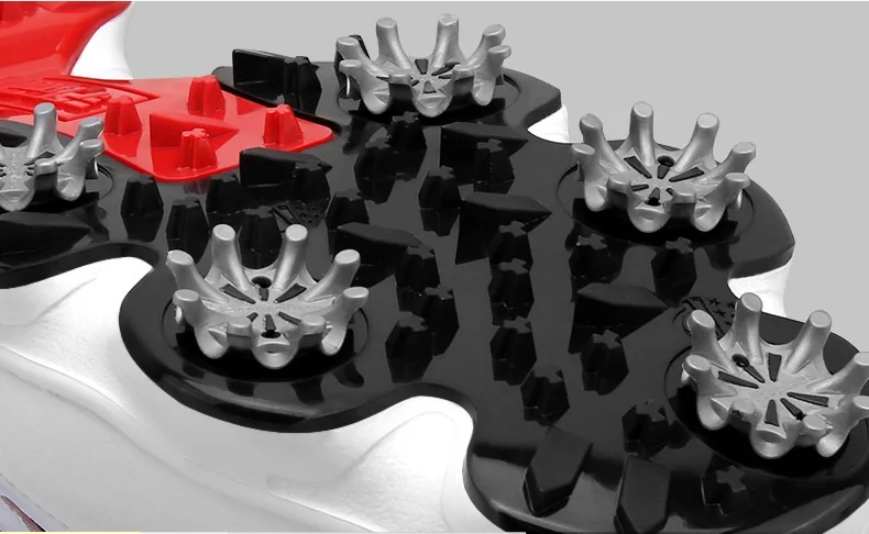 9081606832_590814931