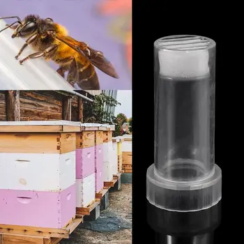 

Beekeeper Bee Queen Marking Cage Marker Bottle Kits Plunger Beekeeping Tools Set Equipment LX9C