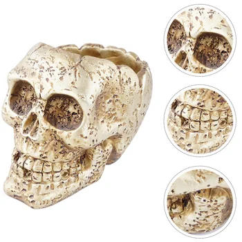 

1pc Chic Durable Funny Succulents Pot for Indoor Home Inside