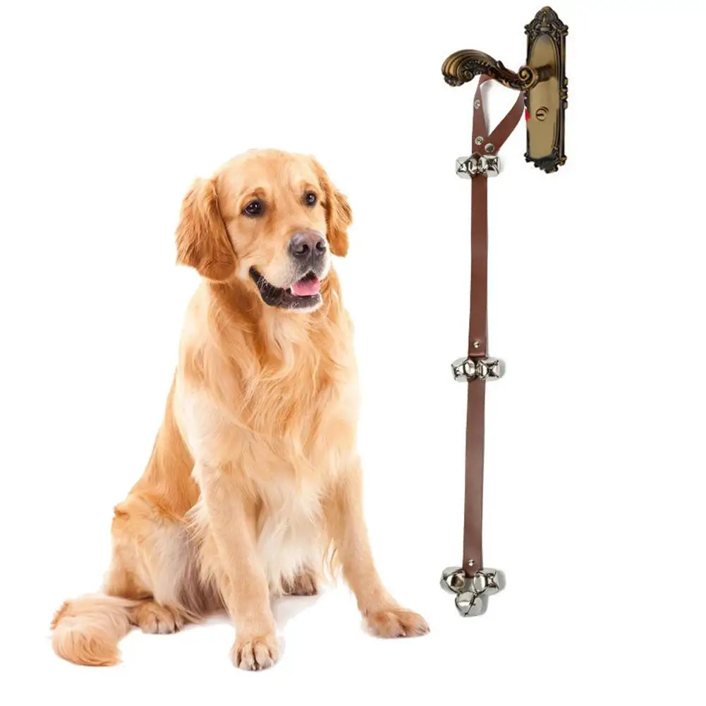 blind dog accessories