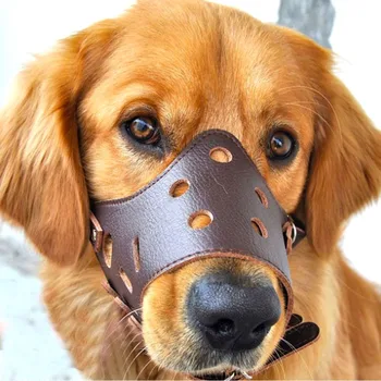Leather Muzzle