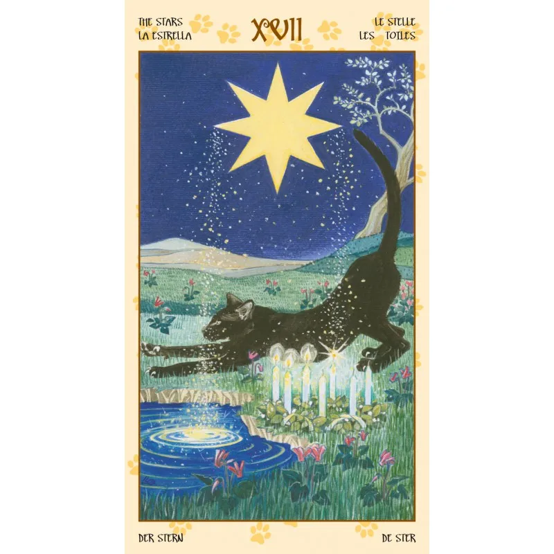 HTB1kIrEaiHrK1Rjy0Flq6AsaFXaH