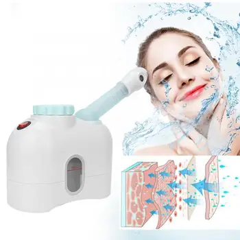 

Micro Needle Roller Aromatherapy Facial Mist Hot Spray Hydrating Sprayer Humidifier SPA Facial Steamer EU Plug Ultrasonic