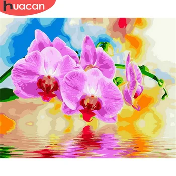 

HUACAN DIY Pictures By Number Kits Home Decor Painting By Numbers Flower Drawing On Canvas HandPainted Art Gift