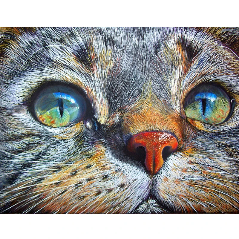 Full Drill Square Diamond 5D DIY Painting&quotCat face&quot Round Embroidery Cross Stitch Rhinestone Mosaic Painting | Дом и сад