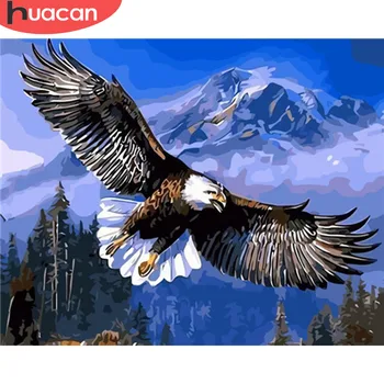 

HUACAN Oil Painting Eagle Animals HandPainted Kits Drawing Canvas Pictures By Numbers Home Decoration DIY Gift