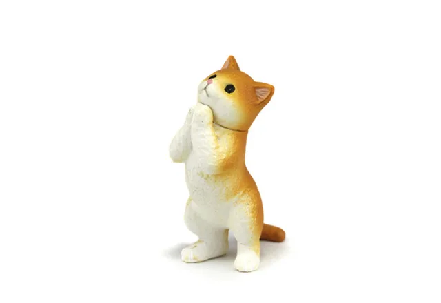 20+ Hewan otter peliharaan information