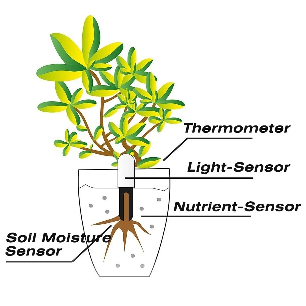Global Version HHCC Flower Monitor Garden Care Grass Soil Water Fertility Smart Tester Sensor Flower Gardening Detector