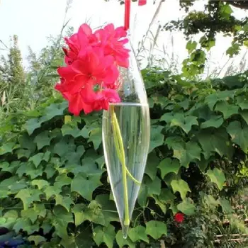 

New Cute Glass Olive Shape 1 Hole Flower Plant Hanging Vase Home Decor