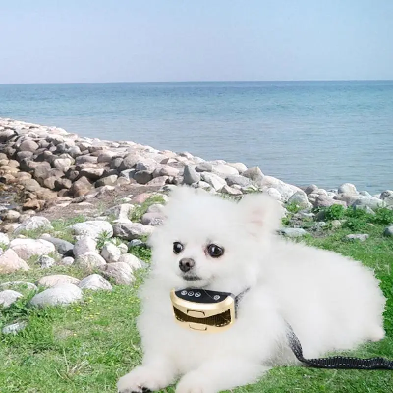 Pet Dog антилающий стоп-инструмент маленькая и средняя Регулировка интенсивности внутренний наружный контроль звука щенок кора тренировочный инструмент