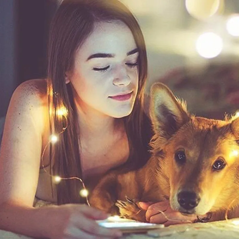 D187728246C8A46F14D30673DD886928