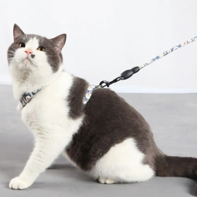 

Pet Adjustable Chest Strap Harness Prevention Of Escape Cat Breathable Traction Rope Set Chest Collar And Leash Collar Para Gato
