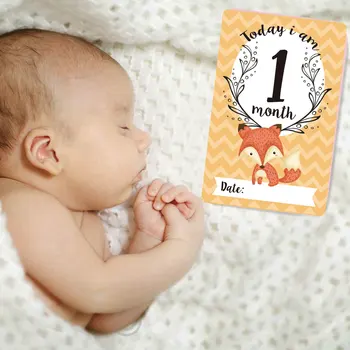 

Woodland Baby Journey Cards Forest Animals Photography Props Baby Age Milestone Cards New Baby Gift Set of 12