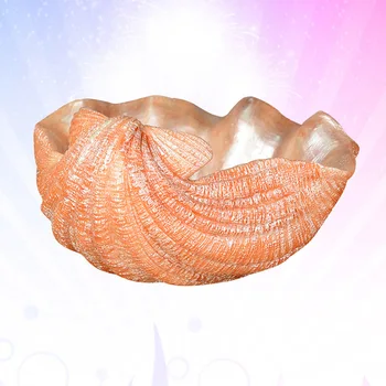 

1Pc Succulent Flower Pot Creative Plant Container Bonsai Pot Shell Design Planter for Shop Office School Store