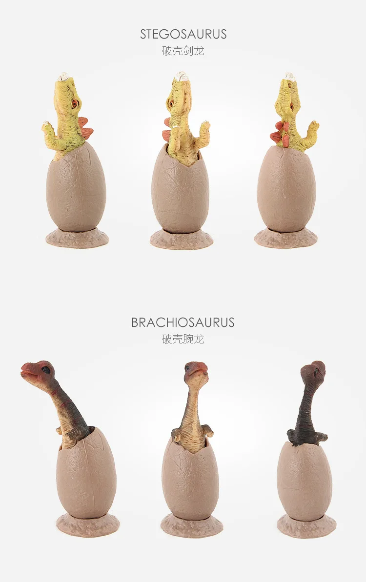 12-Broken Shell Garage Kit Model Semi-Hatching Dinosaur Egg Combination Dinosaur Model with Base