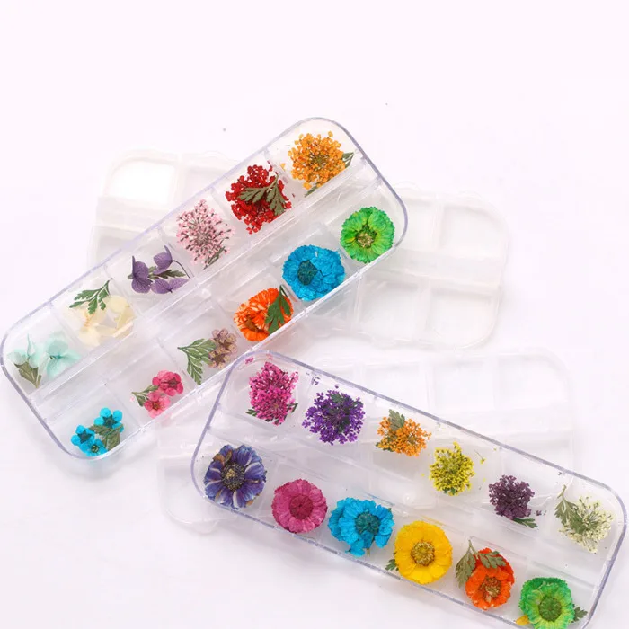 Настоящие сушеные цветы 3D дизайн ногтей Декор DIY Советы Маникюр 12 цветов Мода JS11