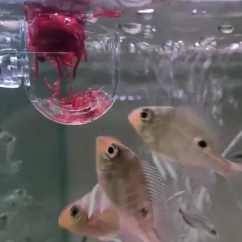 

Glass Feeding Cup Fish Feeder Brine Shrimp Eggs Red Worms Food for Aquarium