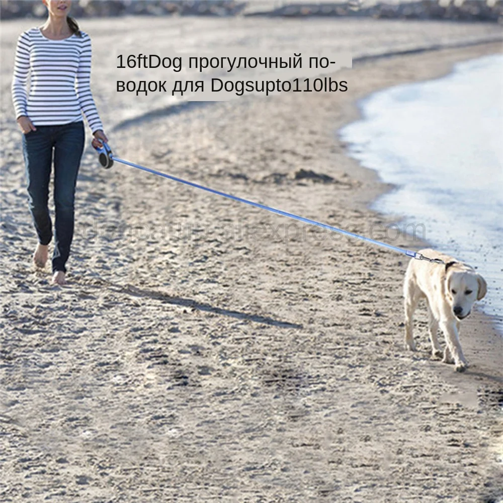 HTB1UiK9aXTM8KJjSZFAq6yexXXaq 