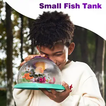 

Portable Small Fish Tank Plastic Transparent Insect Observation Box for Kids Children