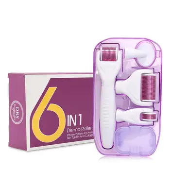 

Six-In-One Roller Microneedle 6 In1 Micro Needle 6 In1 Derme Roller 1200 Needle Set Beauty Tools Set