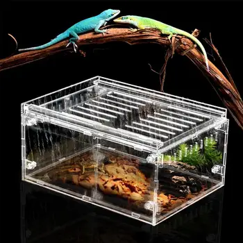 

Large Reptile Breeding Box Reptile Breeding Box Acrylic Feeding Box For Spider Lizard Frog Cricket Turtle
