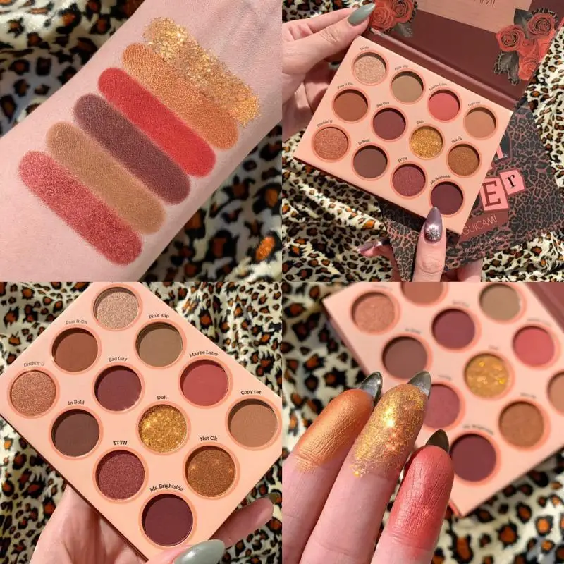 Hot Sale 12 Colors Eyeshadow Palette Matte Pearlescent Glitter Sequins Beautiful Long Lasting Eye Makeup TSLM1 |