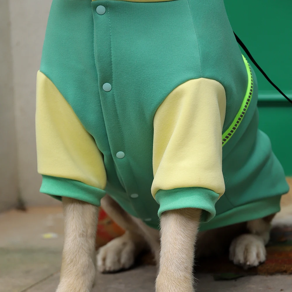 Winter Clothes Labrador Dogs | Clothes Labrador Autumn