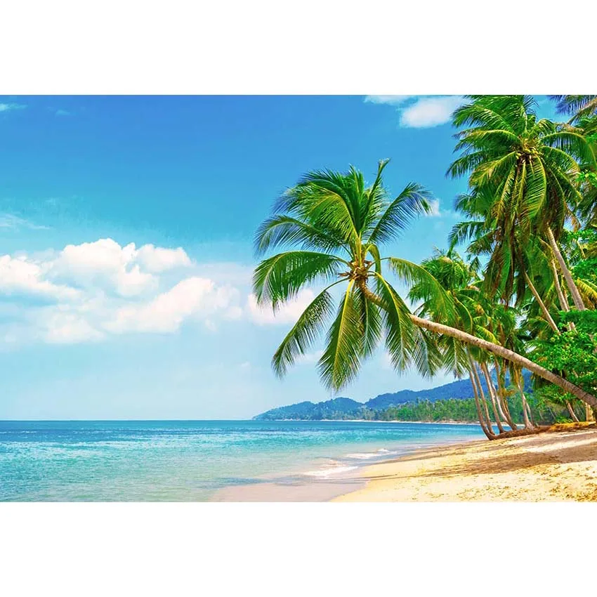 Tropical Beach and Sky Photography Backdrop