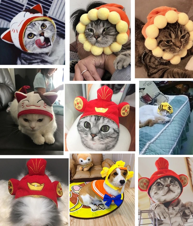 10930665443_906868034