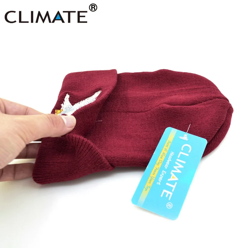 CLIMATE Eagle Beanie, шапка для мужчин и женщин, зимняя теплая шапка, теплая зимняя Мягкая вязаная Круглая Шапочка Шапка Кепка для взрослых мужчин и женщин