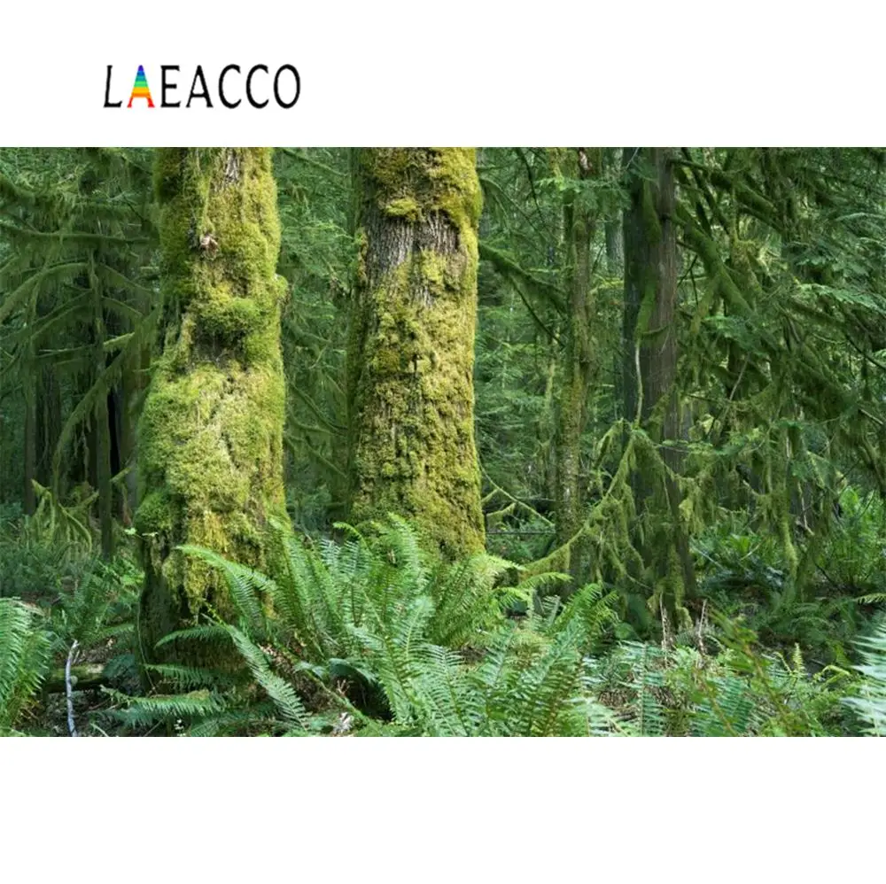 Laeacco тропический дождь лес джунгли Пальма живописные фотографии фоны для фотостудии