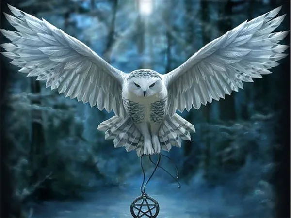 

Diamond Painting Animal Owl Diamond Embroidery Scenery Round DIY Diamond Cross stitch Home Decoration birthday present