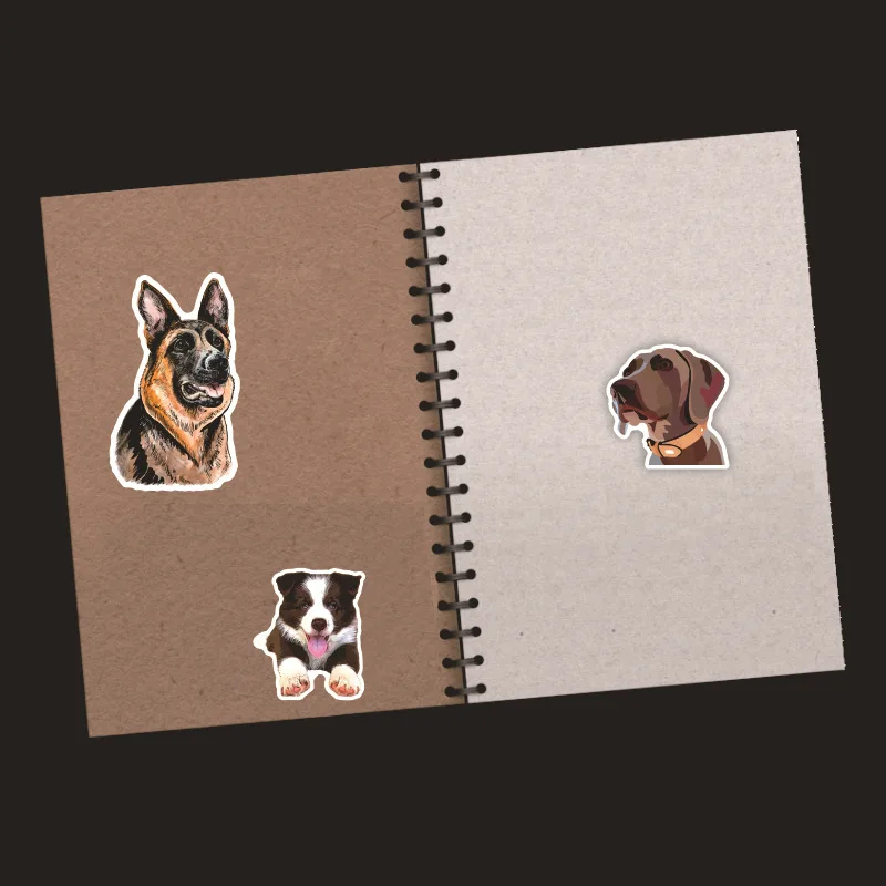 Hef8b191597a54ac8a2185bb815abe