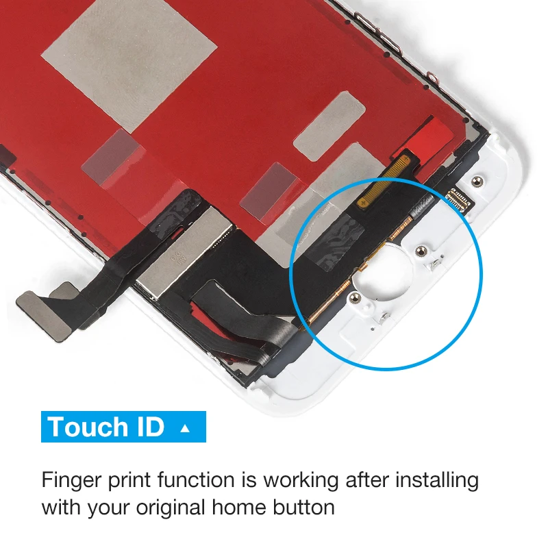 QQ图片20190723113257