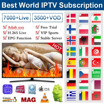 

Europe IPTV Portugal Spain xxx IPTV M3u Subscription Italy Poland Adult Germany Morocco 1 Year IP TV Code Android MAG Enigma2