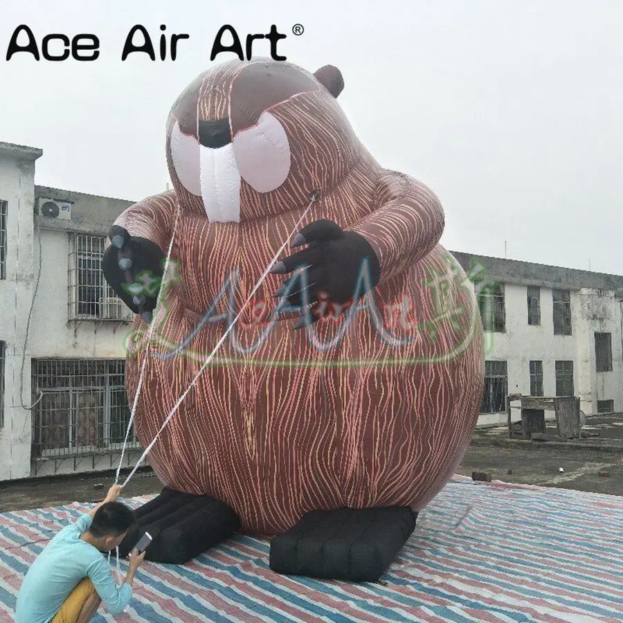4 m tall Giant and Laborious Canadian People's mascot Inflatable Beaver for Advertising in Canada