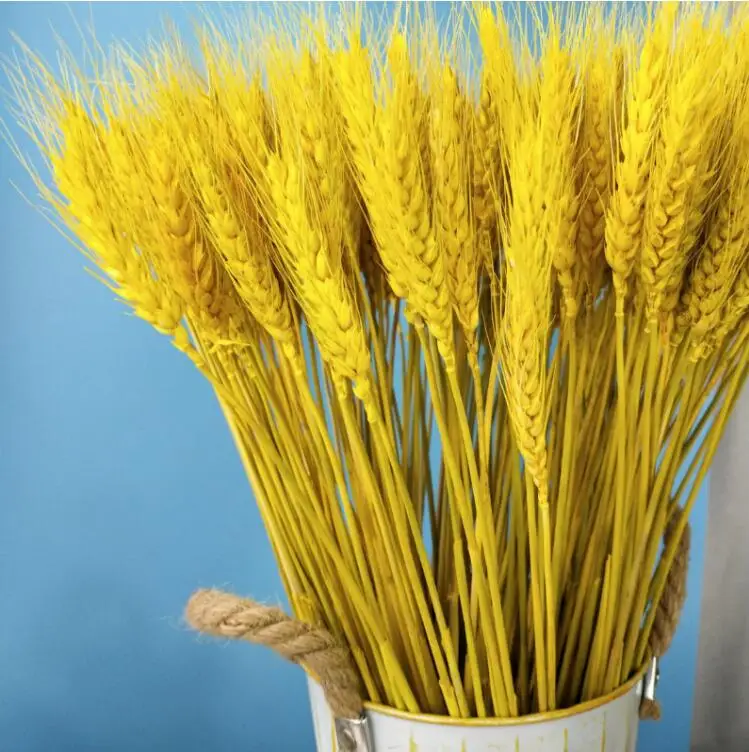 50100Pcs Artificial Wheat Ears Natural Dried Flowers Grain Bouquet For Wedding Party Decoration Three Color JH89 (5)