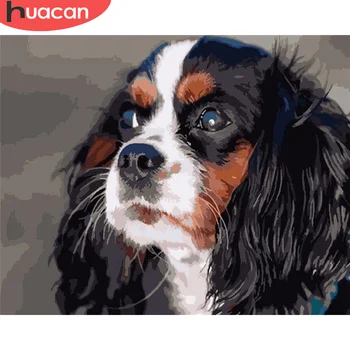 

HUACAN DIY Pictures By Number Dog Kits Painting By Numbers Animal Drawing On Canvas Hand Painted Picture Art Gift Home Decor