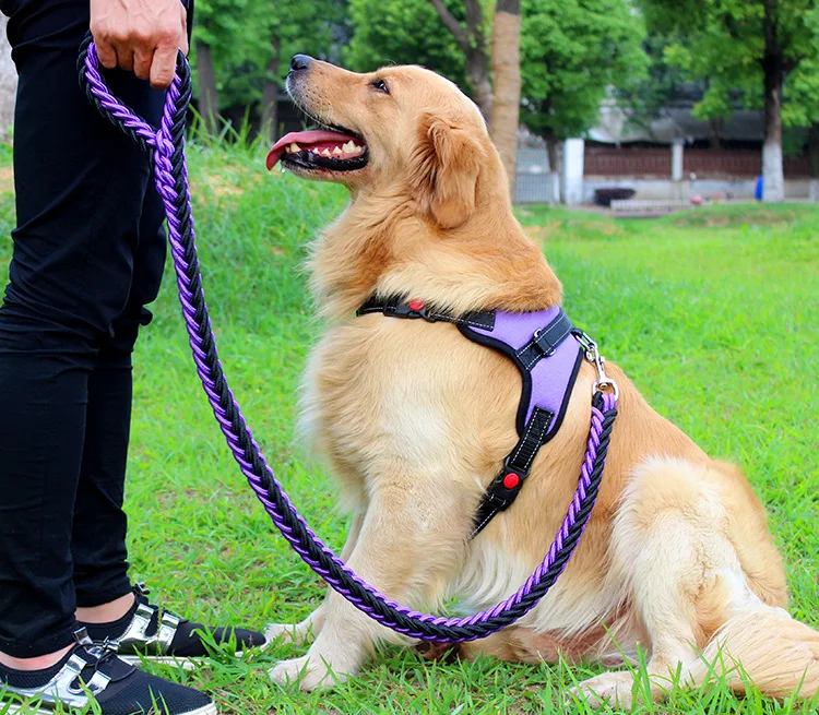 

Pet collar, large dog harness, traction strap set, P-chain for dogs, lead harness pets, medium vest dogs