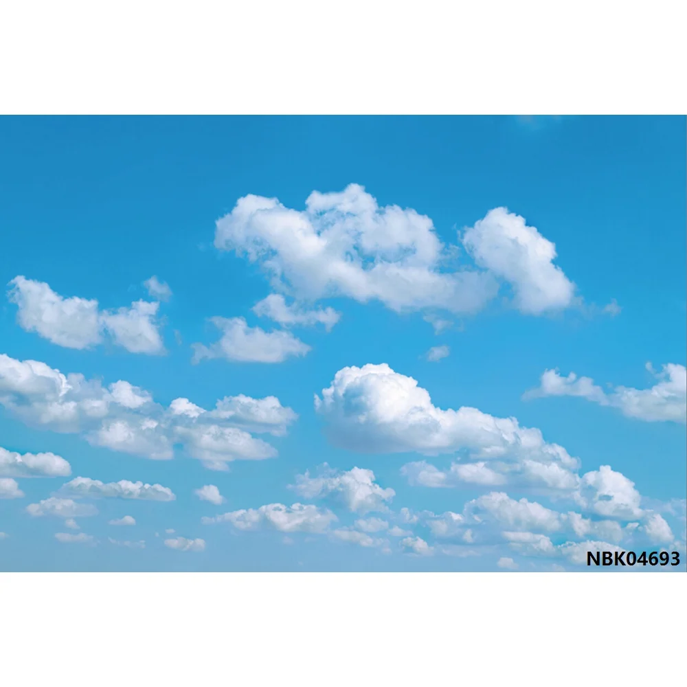 Laeacco голубое небо белое облако детский портрет Фотофон фотографии фоны индивидуальные фотографические фоны для фотостудии - Цвет: NBK04693