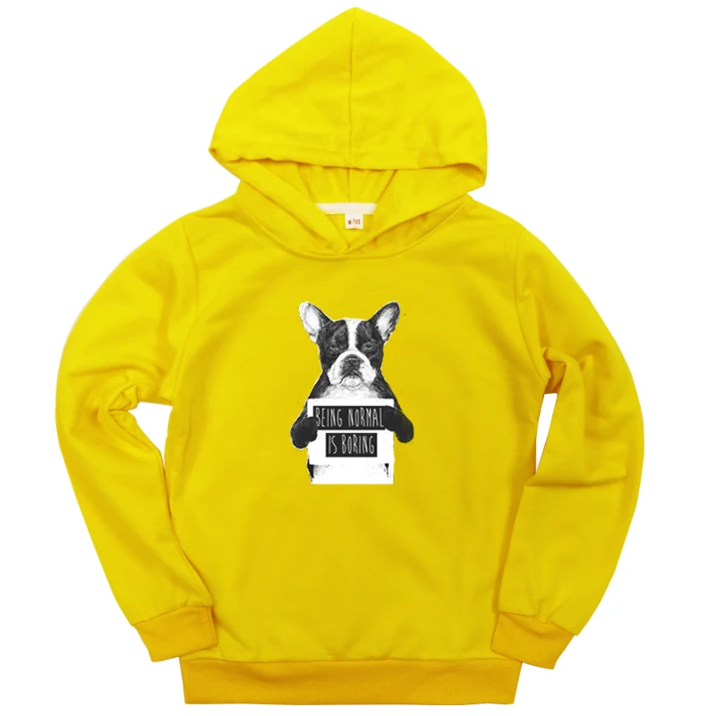 Hoodies 4 Коллекция года, толстовка с принтом собаки для мальчиков и девочек толстовки для малышей детский пуловер с длинными рукавами на весну и осень подарок для детей, Bluza Chlopieca - Цвет: Hoodies 4