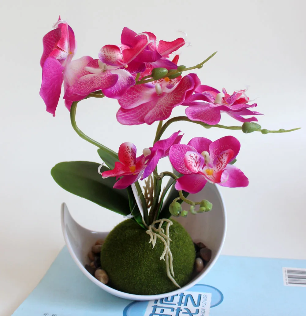 Tridente Phalaenopsis creativo бонсай имитирующая повязка на голову Фабрикант де plantas de Simulation en macetas
