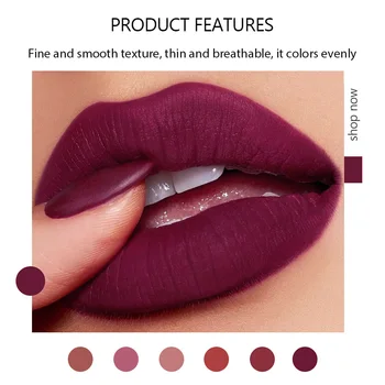

6-Color Lipstick Makeup Set, 6pcs Matte Portable Lip Makeup Gloss Non-Stick Waterproof Long Lasting Moisturizing