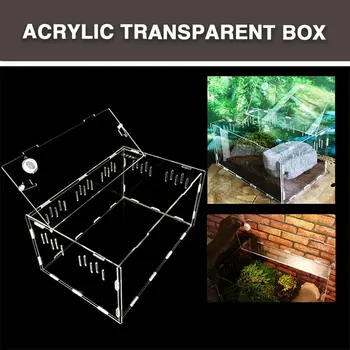 

Acrylic Pet Breeding Box Cold Blooded Animals Home Decoration Reptile Pets Insect Reptile Box Pet Box Reptile Terrarium